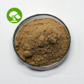 Factory Supply Ginkgo Biloba Leaf Extract Powder